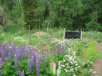juni2007 2 193